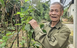 Hé lộ chia sẻ của vợ chồng già Quảng Bình về việc trả lại hơn 700m2 đất nông nghiệp để dành cho hộ thiếu