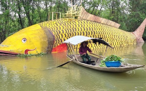 Con "cá chép vàng" nặng gần 1.000 kg xuất hiện trên sông Hoàng Long ở Ninh Bình, dân mạng "phát sốt"