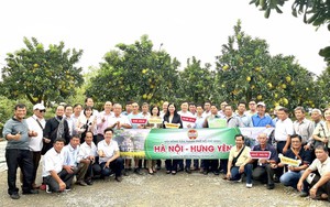 Hội nông dân TP.HCM tham quan, học tập nông nghiệp công nghệ cao tại Hà Nội, Hưng Yên