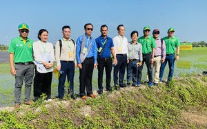 Bình Điền đóng góp ý tưởng cho đề án một triệu ha chuyên canh lúa chất lượng cao