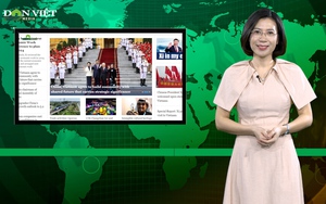 Bản tin Dân Việt Nóng 13/12: Truyền thông Trung Quốc đưa tin đậm nét về chuyến thăm Việt Nam của Chủ tịch Tập Cận Bình