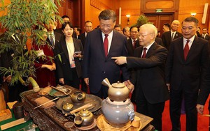 3 loại trà mà Tổng bí thư Nguyễn Phú Trọng mời Chủ tịch Tập Cận Bình đặc biệt ở chỗ nào?