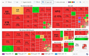 VN-Index lại "rực lửa", cổ phiếu HAG nhà bầu Đức gây bất ngờ