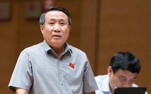 Vụ phá rừng chiếm 30ha đất ở Quảng Trị: Đại biểu Quốc hội lên tiếng