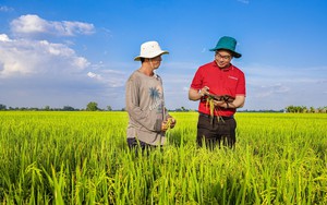 Agribank cung cấp sản phẩm dịch vụ thực hiện phát triển bền vững 1 triệu ha lúa chất lượng cao gắn với tăng trưởng xanh