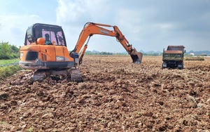 Ngang nhiên đào, vận chuyển, bán đất mặt ruộng trái phép tại cánh đồng ở Ninh Bình
