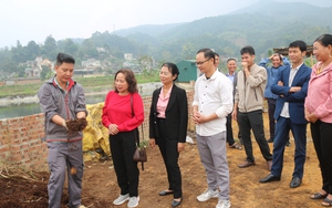 Nông dân Lào Cai tham quan, học hỏi kinh nghiệm mô hình xử lý rác thải hữu cơ