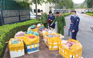 Sơn La: Thu giữ số lượng lớn thực phẩm hôi thối đang trên đường 