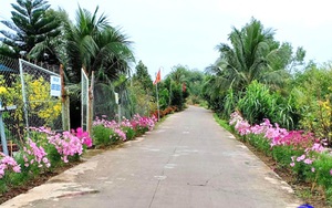 Đường hoa nông thôn mới đẹp mê tơi ở một nơi của Tiền Giang, dân tình qua lại tha hồ chụp hình