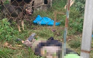 Nữ công nhân nghi bị chó cắn tử vong