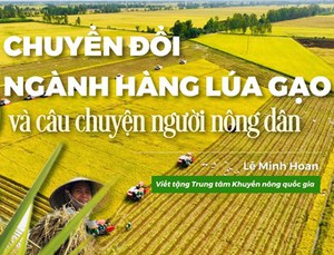 Bộ trưởng Lê Minh Hoan viết cho Khuyến nông Việt Nam: Chuyển đổi ngành hàng lúa gạo và câu chuyện người nông dân