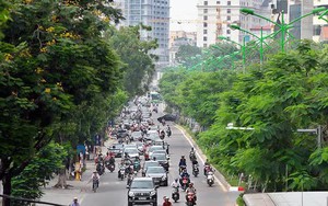 Hà Nội trồng thêm 250.000 cây xanh năm 2024 