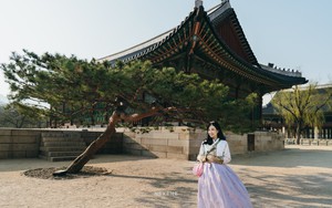 Hàn Quốc: Cung điện nổi tiếng ở Seoul bị phá hoại nặng nề