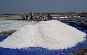 Vực dậy ngành muối: Làm muối thảo dược, du lịch trên đồng muối, hướng đi của TP.HCM (Bài 1)
