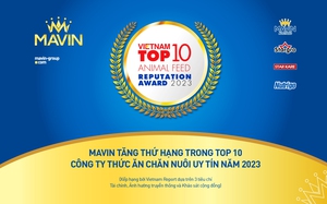 Mavin tiếp tục tăng thứ hạng trong top 10 công ty thức ăn chăn nuôi uy tín 2023