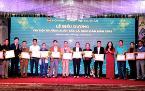 Bình chọn NDVNXS 2024: Ấn ượng với nông dân có 500ha đất, thu nhập hàng chục tỷ đồng/năm - Ảnh 7.