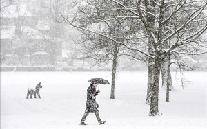Clip: Cảnh báo tuyết rơi dày lịch sử tại Anh