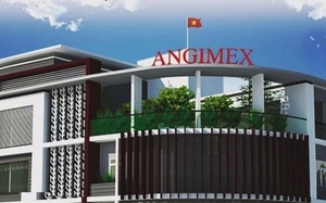Angimex (AGM) chuyển nhượng 21% vốn tại Công ty con mảng bán mô tô xe máy