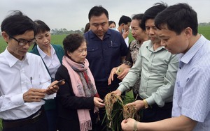Đại hội VIII Hội NDVN: Hợp tác quốc tế, ngoại giao nhân dân góp phần hỗ trợ nông dân Việt Nam