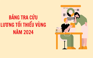 Tra cứu tiền lương tối thiểu vùng năm 2024 nơi mình làm việc như thế nào?