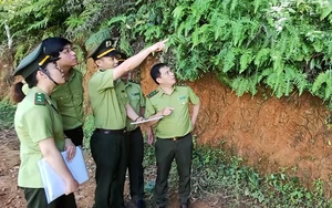 Kiểm lâm Sơn La: Làm tốt công tác quản lý, bảo vệ rừng