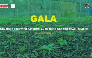 [TRỰC TIẾP] Gala 