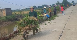 Từ ngày 1/1/2024, đội ngũ Chi Hội trưởng Chi Hội Nông dân và Phó Chủ tịch Hội Nông dân cơ sở tại tỉnh Ninh Bình sẽ được nâng mức hỗ trợ hàng tháng. Đây cũng là tin vui đối với Chi Hội trưởng Chi hội Nông dân Ninh Bình trước thềm Đại hội đại biểu toàn quốc Hội Nông dân Việt Nam lần thứ VIII.