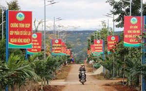 Bàn giao tuyến đường kiểu mẫu nông thôn mới đầu tiên tại Đắk Nông