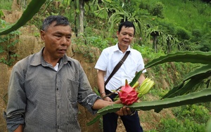 Hoàng Su Phì (Hà Giang): Để nông dân thực sự là chủ thể xây dựng nông thôn mới