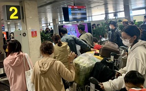 Sân bay Tân Sơn Nhất dự kiến đón hơn 110 nghìn người/ngày vào dịp Tết