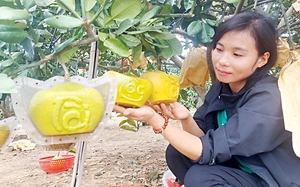 Trồng bưởi đỏ, tạo hình cho bưởi, một nông dân Bắc Giang được siêu thị đặt mua 10.000 quả mà không có bán