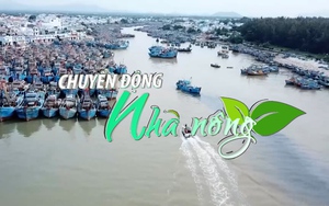 Chuyển động Nhà nông 23/12: Nhiều tỉnh phía Nam phối hợp quản lý tàu cá vi phạm IUU