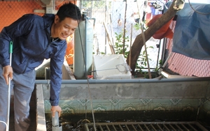 Xây bể nuôi lươn ngay giữa sân vườn, hai anh nông dân Thái Bình thu 200 triệu đồng