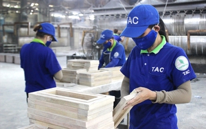 Xanh hóa “vàng trắng” Việt Nam: Ngành gỗ cao su tìm cơ hội cạnh tranh (Bài 2)