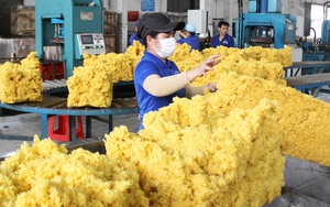Xanh hóa “vàng trắng” Việt Nam: Ngành cao su xanh hóa quy trình sản xuất công nghiệp (Bài 3)
