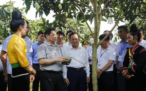 Thủ tướng đối thoại với nông dân: Tạo động lực giúp nông dân phát triển kinh tế xanh, bền vững