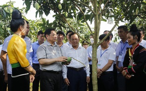 Mời gửi ý kiến, đề xuất qua chuyên mục "Nông dân gửi tâm tư tới Thủ tướng"- Ảnh 2.