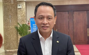 CEO Lê Hồng Hà nói gì về cổ phiếu HVN của Vietnam Airlines và 