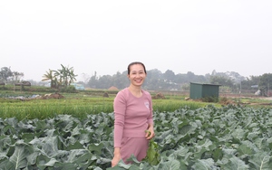 Giám đốc HTX là người công giáo ở Thái Nguyên tin, sau Đại hội VIII Hội NDVN, việc hỗ trợ nông dân tốt hơn