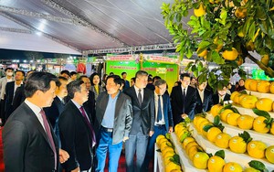 Nhiều sự kiện đặc sắc trong lễ hội nông sản thành phố Hà Nội 2023