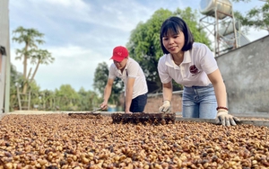 Trước thềm Hội nghị Thủ tướng đối thoại với nông dân năm 2023: Thị trường và vật tư đầu vào vẫn được quan tâm