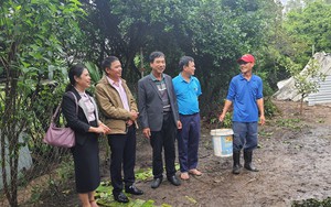 Ở một nơi ở Điện Bàn của Quảng Nam, nông dân đổi đời nhờ đầu tư nuôi con đặc sản 