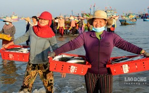 Chợ làng biển ở Quảng Ngãi, trên trời ánh bình minh, dưới tấp nập người mua bán, toàn thấy cá là cá