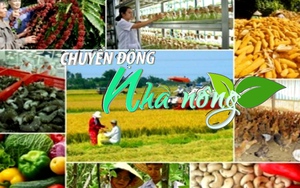 Chuyển động Nhà nông 30/12: Ngành nông nghiệp năm 2023 có nhiều chỉ tiêu đạt kỷ lục