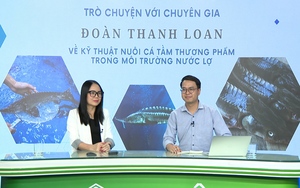 GÓC CHUYÊN GIA: Nuôi cá tầm nước lợ - bước tiến mới trong ngành thủy sản của Việt Nam