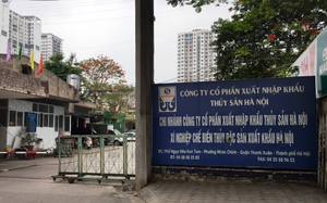 Xuất nhập khẩu Thủy sản Hà Nội bị xử phạt với một loạt vi phạm