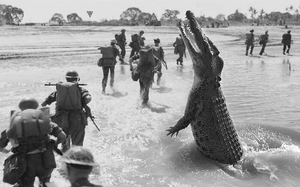 Clip: Thảm kịch 1.000 lính phát xít Nhật bị &quot;ăn tươi nuốt sống&quot; trong khu đầm lầy ở Myanmar trong Thế chiến 2