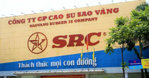 Tập đoàn Hoành Sơn tăng sở hữu tại Cao su Sao Vàng (SRC) lên hơn 50%