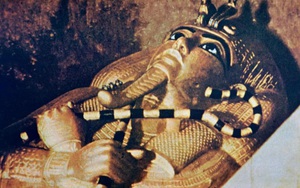 Bí mật thực sự đằng sau 'lời nguyền chết chóc' của các pharaoh Ai Cập cổ đại