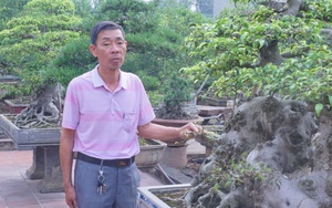 Quanh năm trồng cây cảnh, sân vườn xanh mát, một nông dân Nam Định xây nhà cao cửa rộng